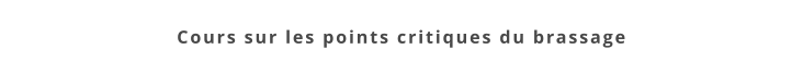 Cours sur les points critiques du brassage